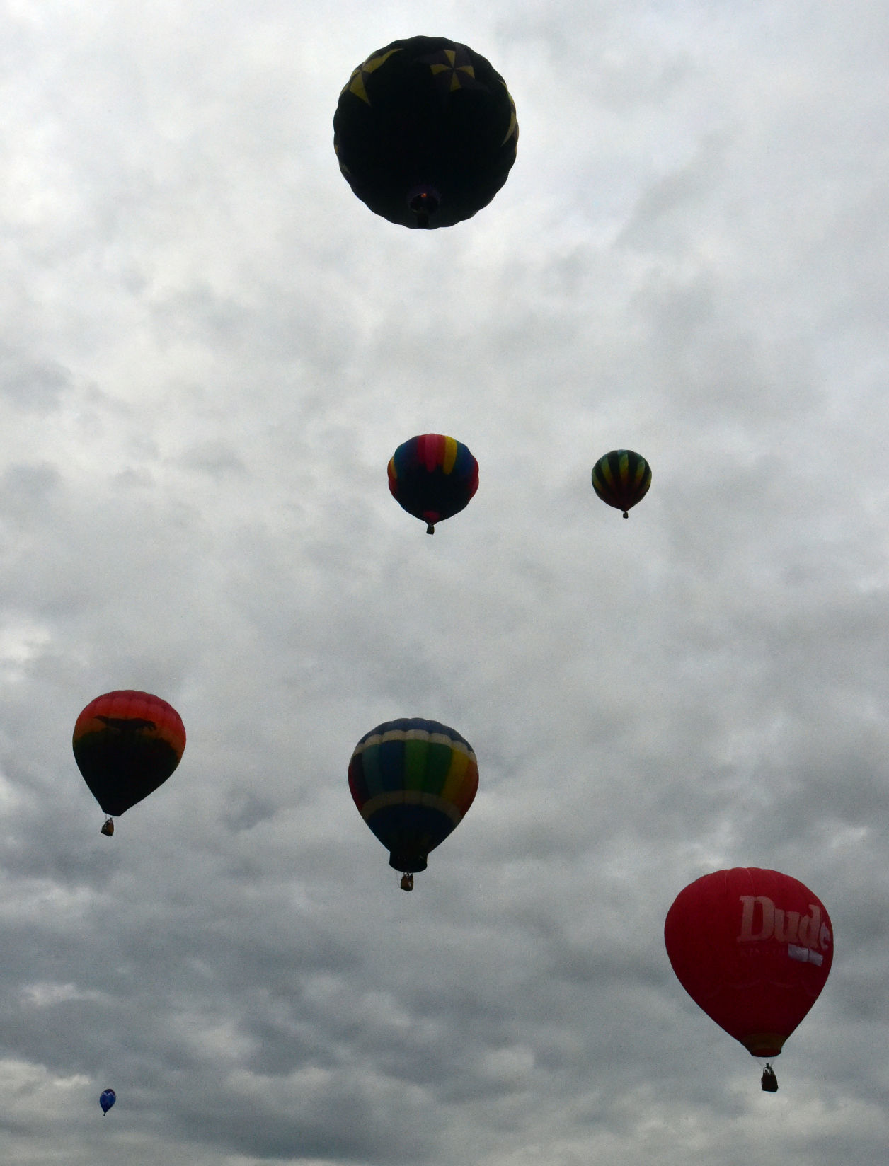 Adirondack Balloon Festival
